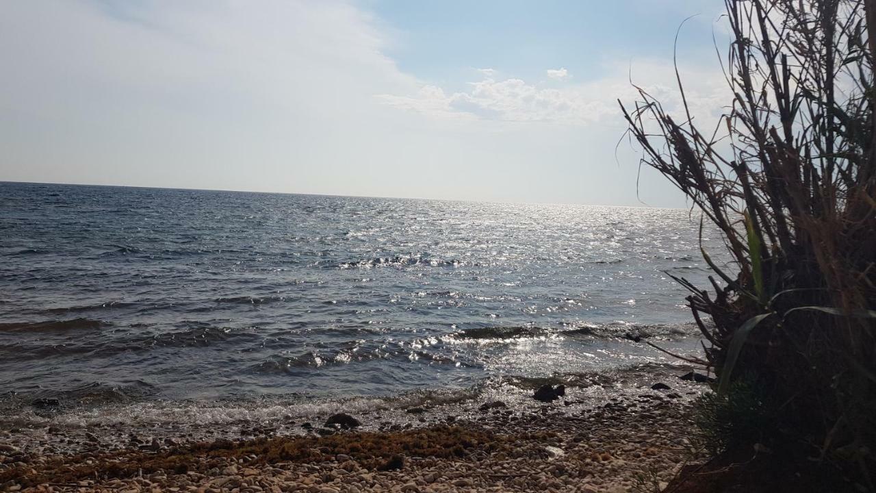 The Village Novigrad  Bagian luar foto